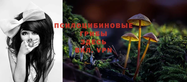 СК Абинск