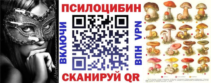 где можно купить наркотик Собинка blacksprut сайт Псилоцибиновые грибы прущие грибы